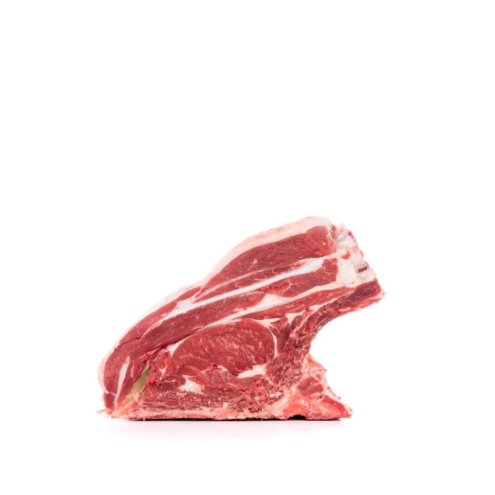 tronchetto bovino adulto con osso